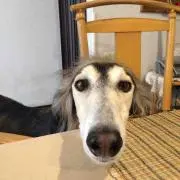 即決派❤️交渉はありよ、価格次第だけど。の画像