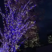 おかの画像