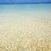 色々出すよんの画像
