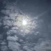 marimariの画像