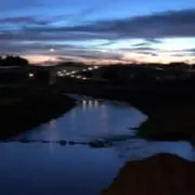 松葉の画像