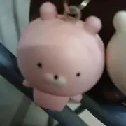ポポの画像