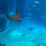 erubocの画像