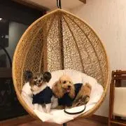 トモ
