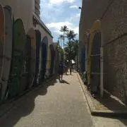 SURFの画像