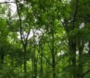 Yu-anの画像