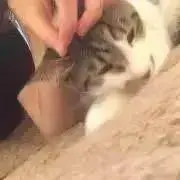 あいなの画像