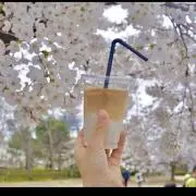 ゆき