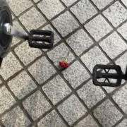 yokoの画像