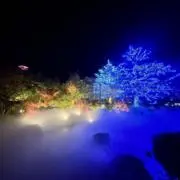れーらの画像