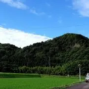 Image of プリン