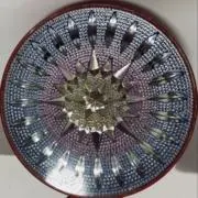 ヒミツのアッコの画像