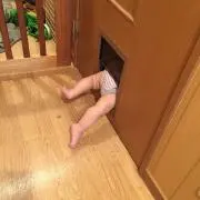 NCISの画像
