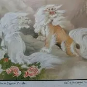 ギルダーツ　(即購入歓迎)