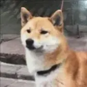♡ビビ♡の画像