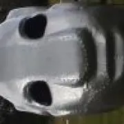 セカンドエディションの画像