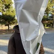 Hinoの画像