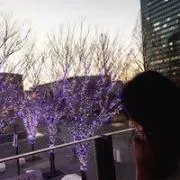 まこたん