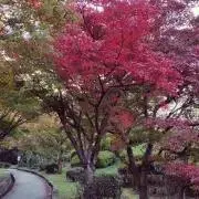 Austin