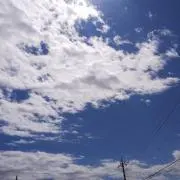 ちょこの画像