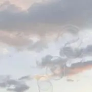 りぃ