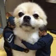せな♪
