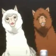 コッキング