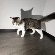 優音の画像