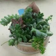 kanakanakanaの画像