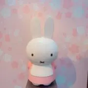 chappyの画像