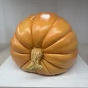 Krdmscの画像