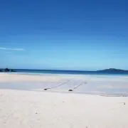 こまちの画像