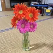 花きりんの画像