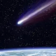 彗太　次回発送 7/6予定の画像
