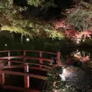 ミサ