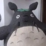 SUNSの画像