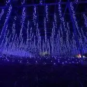 Mの画像