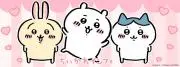 ぷみかわ【断捨離中！】の画像