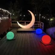 ぴぴの画像