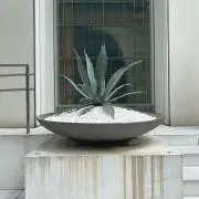土・日曜日に発送いたします。の画像