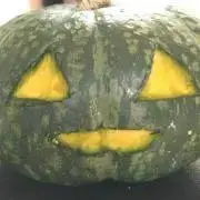 ズッキーニャの画像