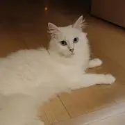 ゆみ