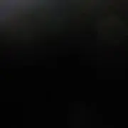 タロベイの画像