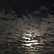 ju  プロフ読んでねの画像