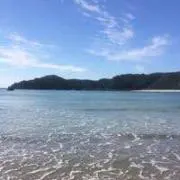 RSAの画像
