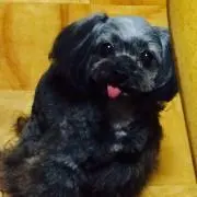 ハルママ