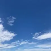 ババロア・ムースの画像