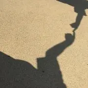 かめらい