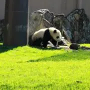 ykhrs2kの画像