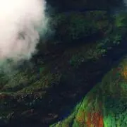 ワンダ